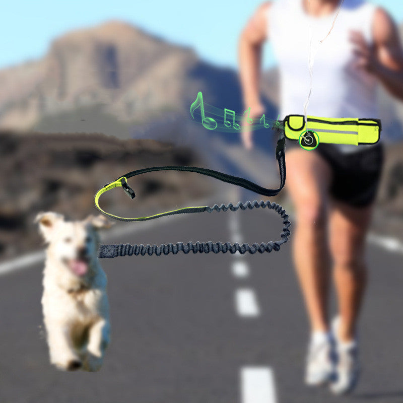 Hands-Free Dog Leash & Waist Bag