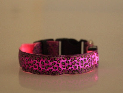 Light-Up Dog Collar for Safe Night Walks