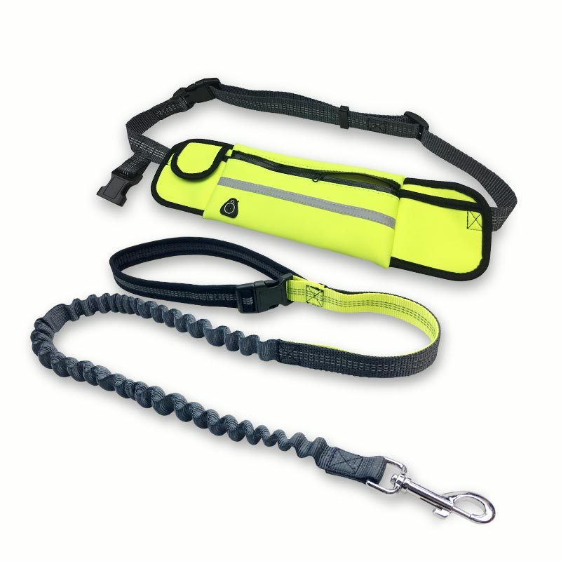 Hands-Free Dog Leash & Waist Bag