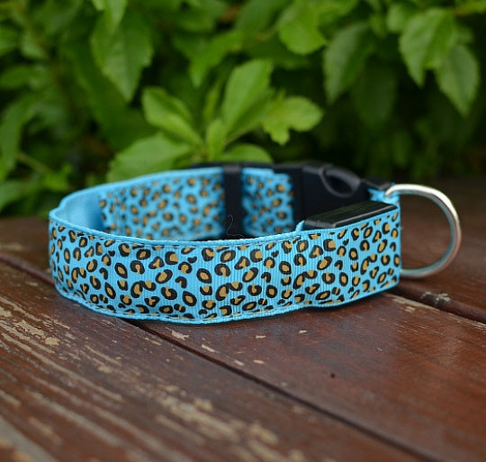 Light-Up Dog Collar for Safe Night Walks
