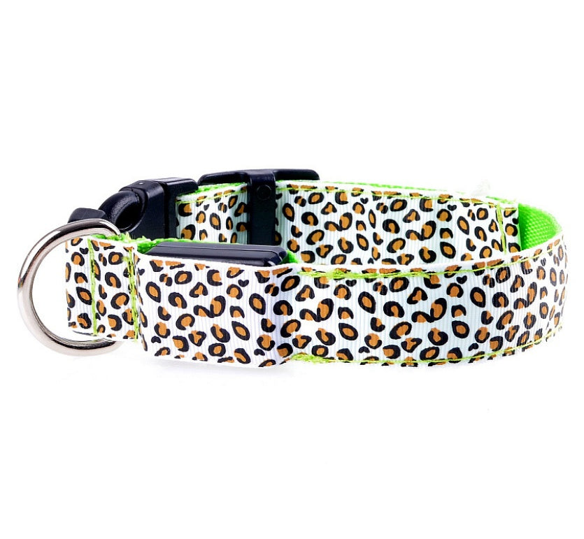 Light-Up Dog Collar for Safe Night Walks