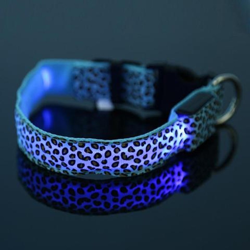 Light-Up Dog Collar for Safe Night Walks