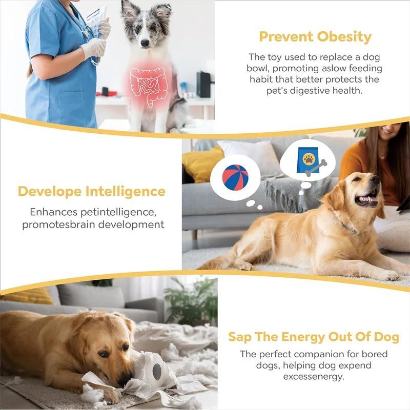 Interactive Slow Eating Bowl – Healthy & Playful