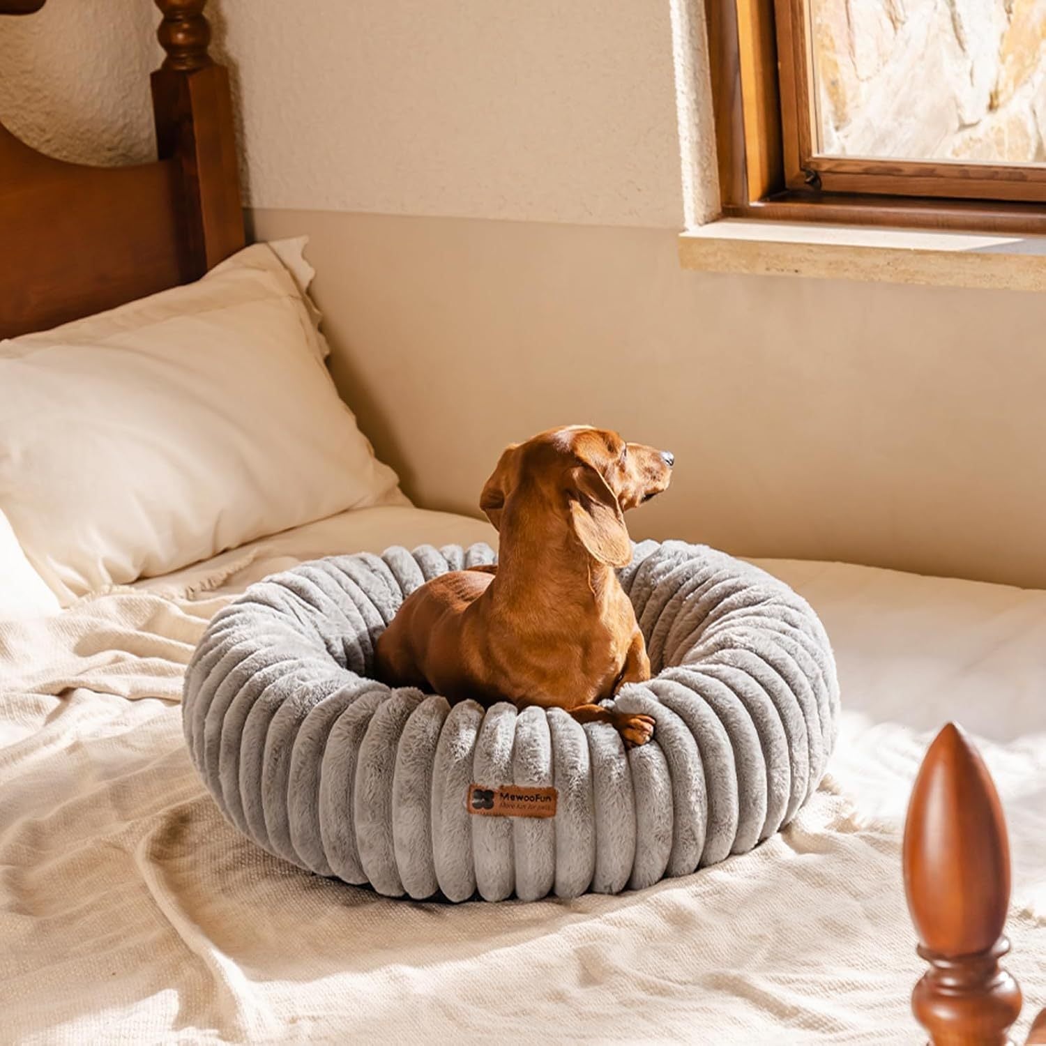 Cozy Washable Donut Bed for Cats and Small Dogs