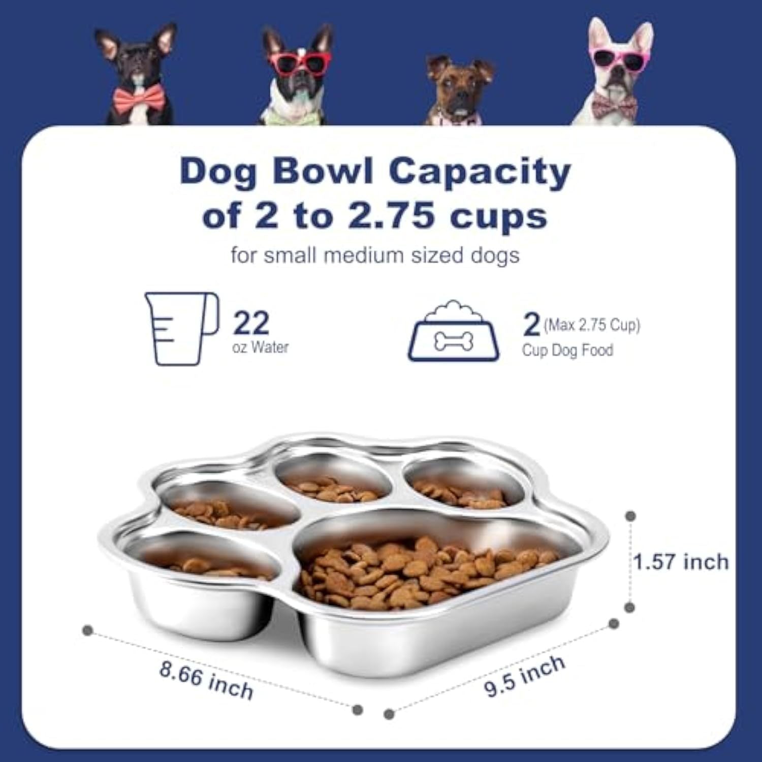Stainless Steel Slow Feeder Dog Bowl