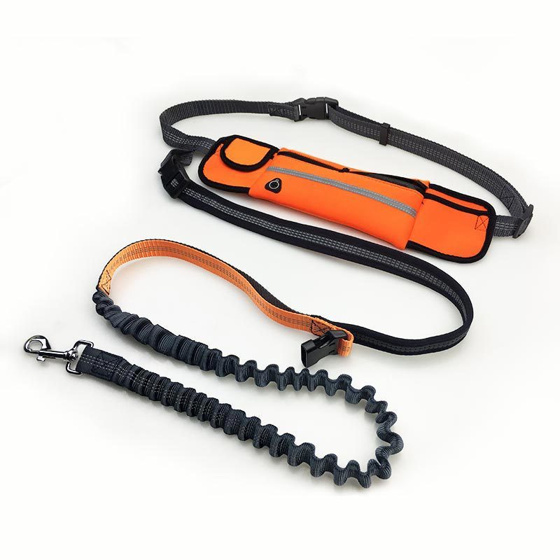 Hands-Free Dog Leash & Waist Bag