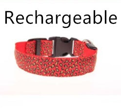Light-Up Dog Collar for Safe Night Walks