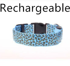 Light-Up Dog Collar for Safe Night Walks