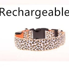 Light-Up Dog Collar for Safe Night Walks