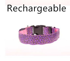 Light-Up Dog Collar for Safe Night Walks