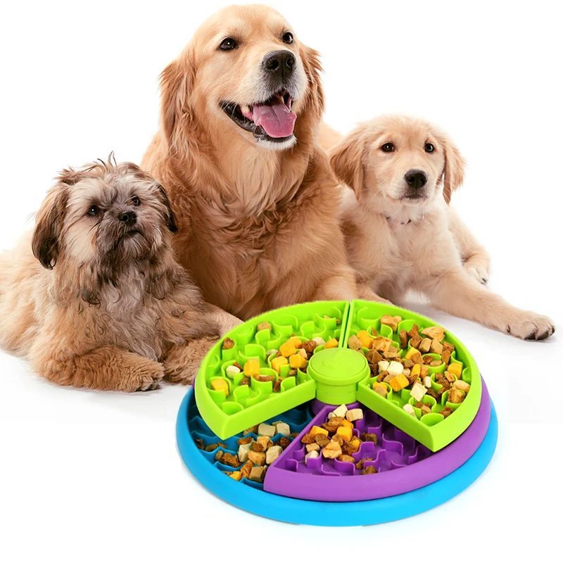 Interactive Slow Eating Bowl – Healthy & Playful