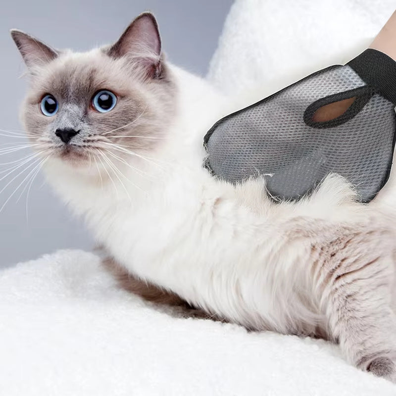 Cat & Dog Grooming Glove – Brush, Clean, Relax