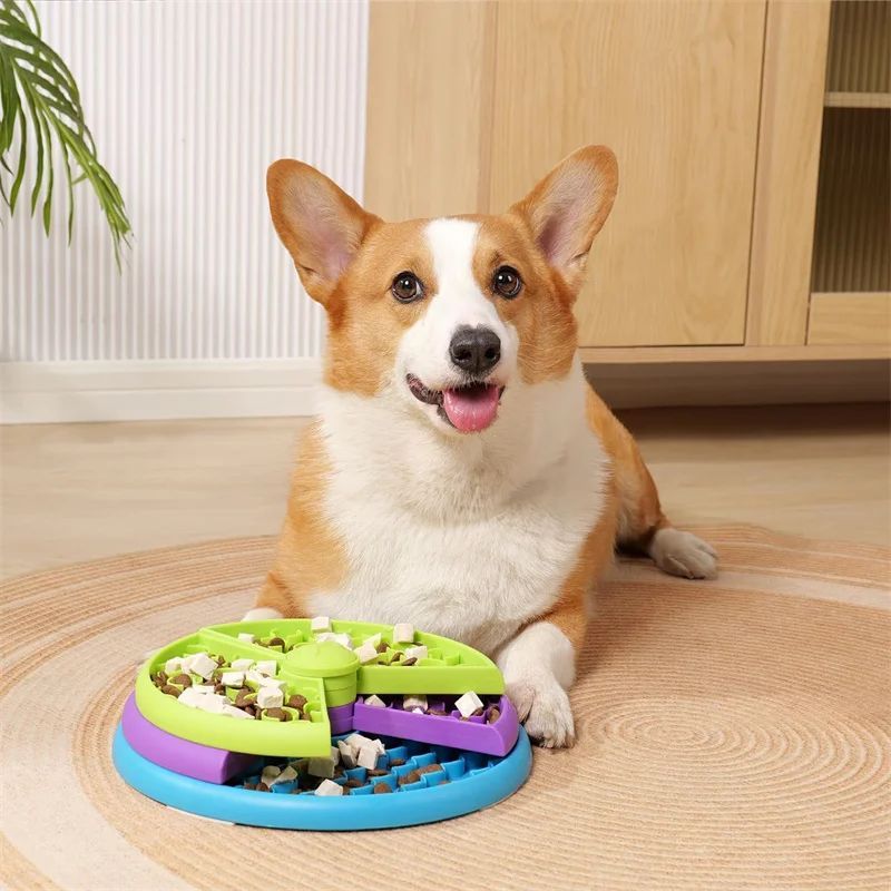 Interactive Slow Eating Bowl – Healthy & Playful