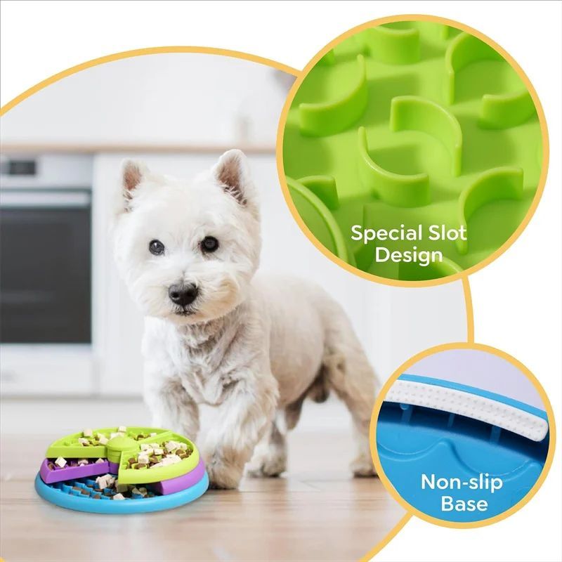 Interactive Slow Eating Bowl – Healthy & Playful